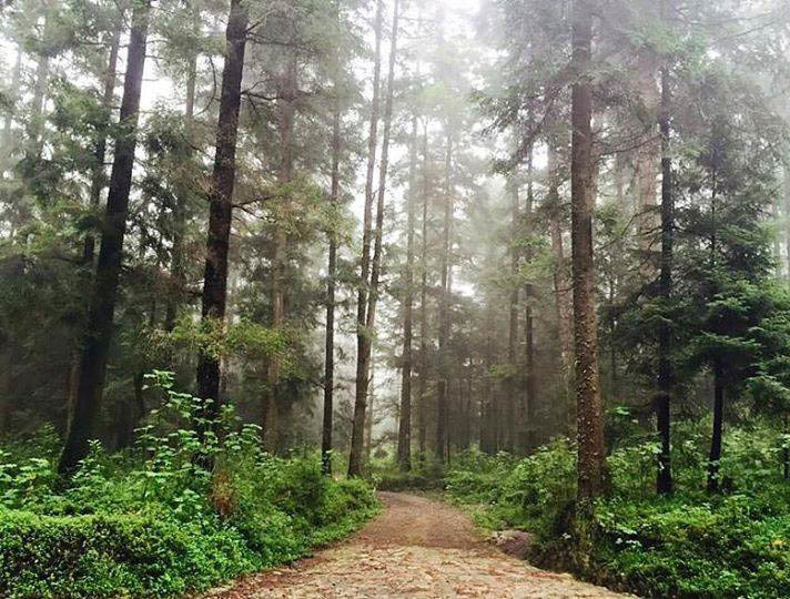 ecoturismo en cdmx