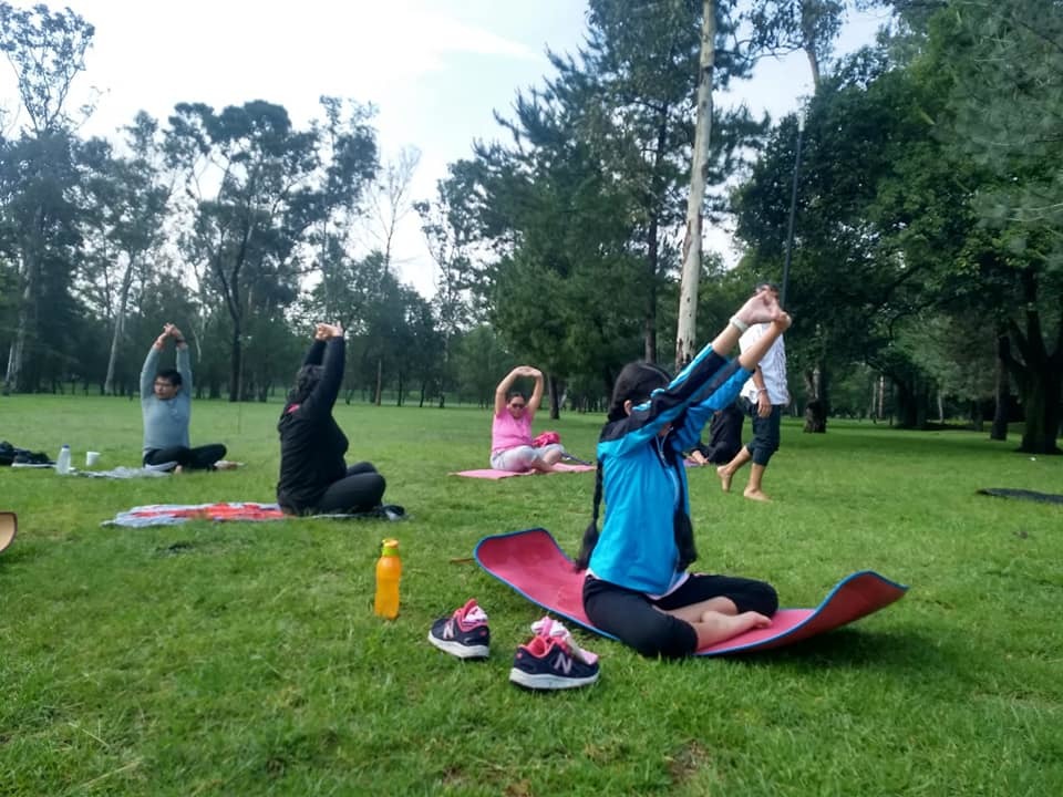 CLASES DE YOGA PARA TODOS; AL AIRE LIBRE, EN EL PARQUE, EN EL BOSQUE, EN SALON, VAMOS A TU DOMICILIO; CLASES INDIVIDUALES Y PARA GRUPOS DE TODAS LAS EDADES
